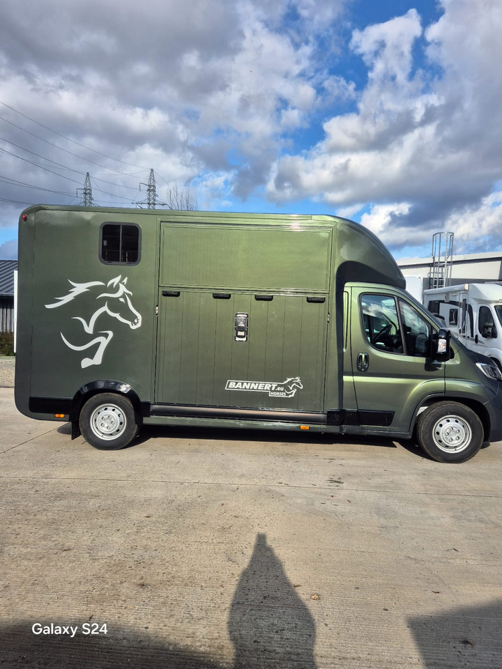 Opel Bannert Koniowoz / Horse Truck / In Stock - Horse truck: picture 5 Opel Bannert Koniowoz / Horse Truck / In Stock - Horse truck: picture 5