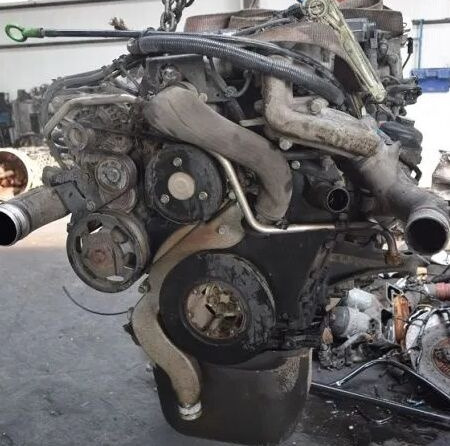 MAN D0836LFL65 MAN TGL TGM - Engine for Truck: picture 1 MAN D0836LFL65 MAN TGL TGM - Engine for Truck: picture 1