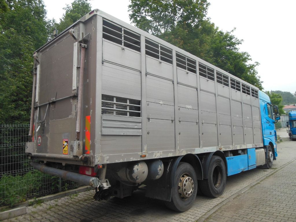 DAF XF 106.460, MENKE-JANZEN, UNFALL-FAHRBAR!! - Livestock truck: picture 3 DAF XF 106.460, MENKE-JANZEN, UNFALL-FAHRBAR!! - Livestock truck: picture 3