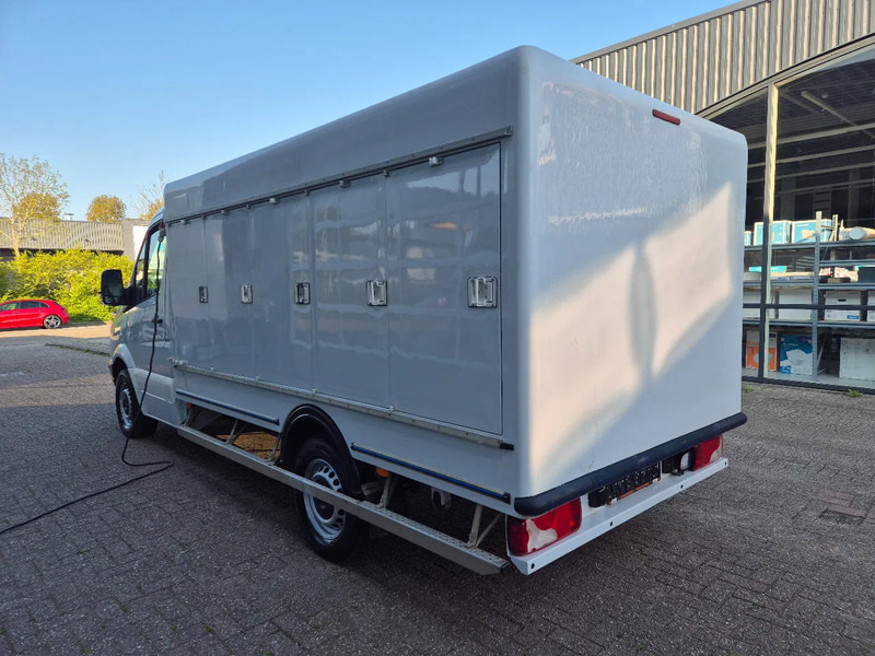 Mercedes-Benz Sprinter 313 CDI 5+5 Turen TIEFFROST -40C Carlsen Baltic E5 - Refrigerated van: picture 5 Mercedes-Benz Sprinter 313 CDI 5+5 Turen TIEFFROST -40C Carlsen Baltic E5 - Refrigerated van: picture 5