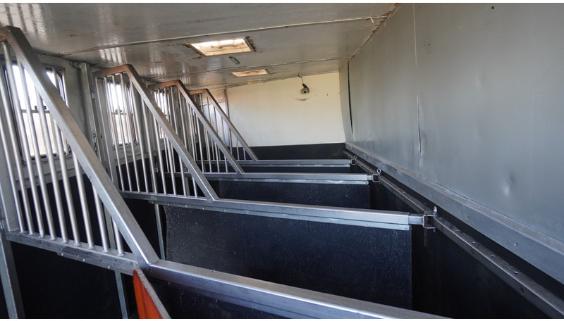 MAN TGL 8.180 HORSE TRANPORT 515.000KM - Horse truck: picture 5 MAN TGL 8.180 HORSE TRANPORT 515.000KM - Horse truck: picture 5