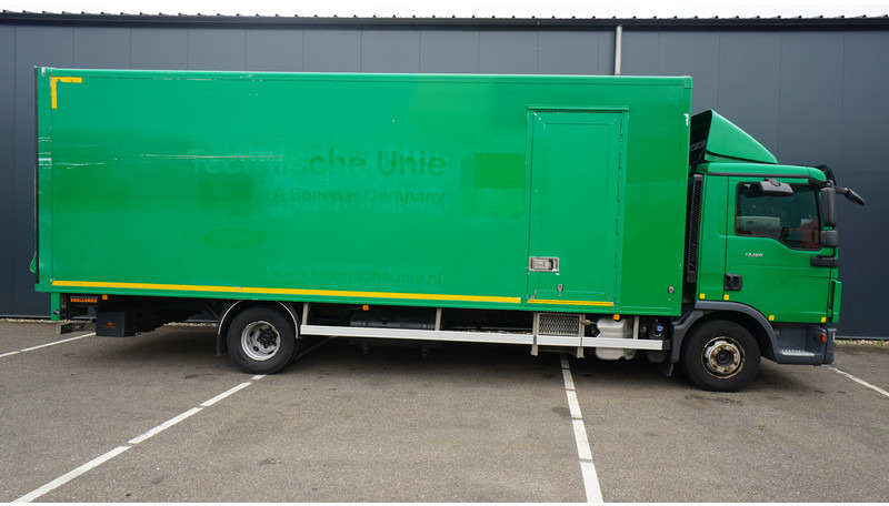 Leasing of MAN TGL12.180 4X2 CLOSED BOX MAN TGL12.180 4X2 CLOSED BOX: picture 6