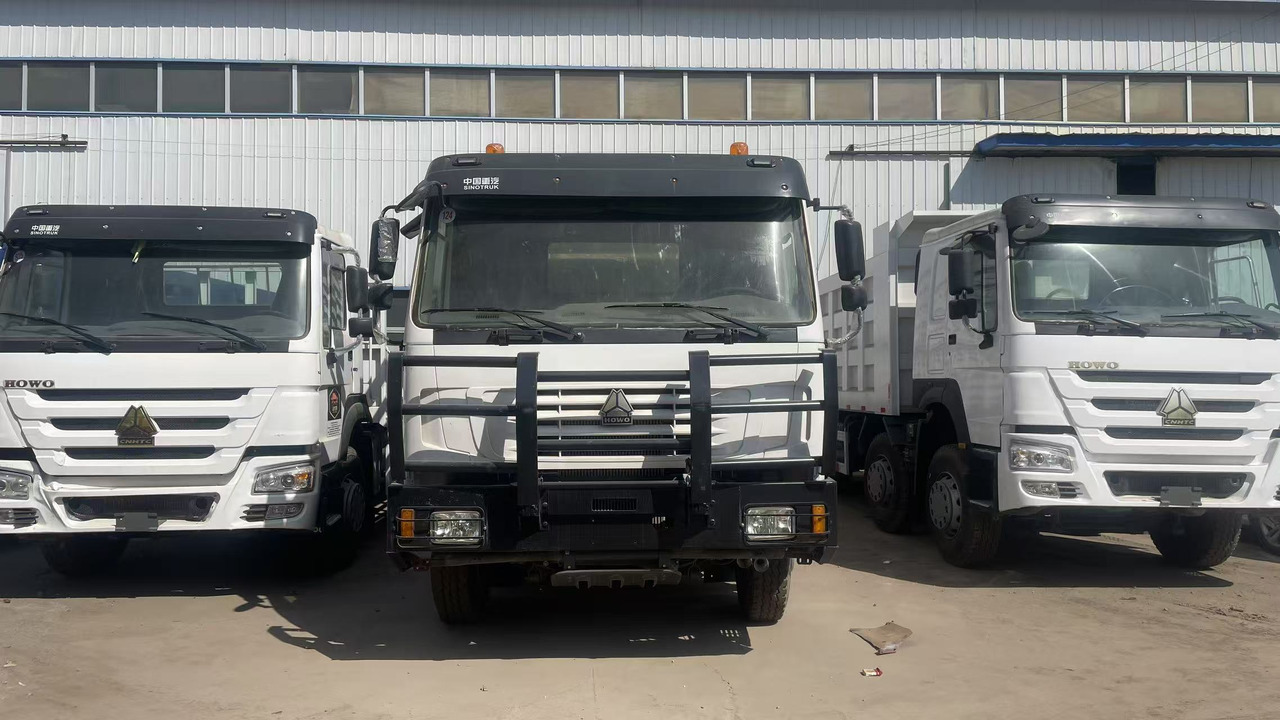 SINOTRUK HOWO 8*4 DUMP TRUCK 371 375 380 420 HP - Livestock truck: picture 1 SINOTRUK HOWO 8*4 DUMP TRUCK 371 375 380 420 HP - Livestock truck: picture 1