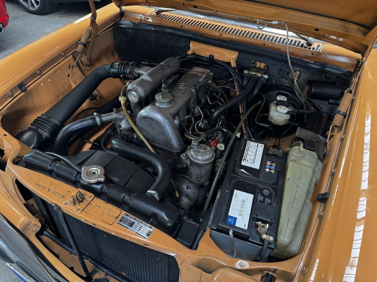 Leasing of  Mercedes-Benz 200 D/8 Mercedes-Benz 200 D/8: picture 23
