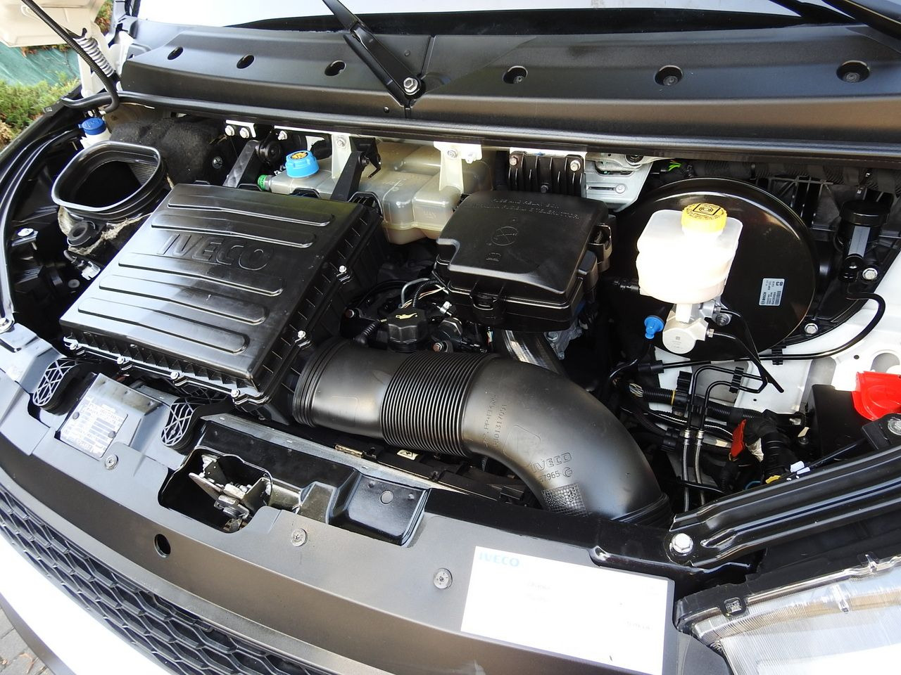 Refrigerated van IVECO DAILY: picture 32