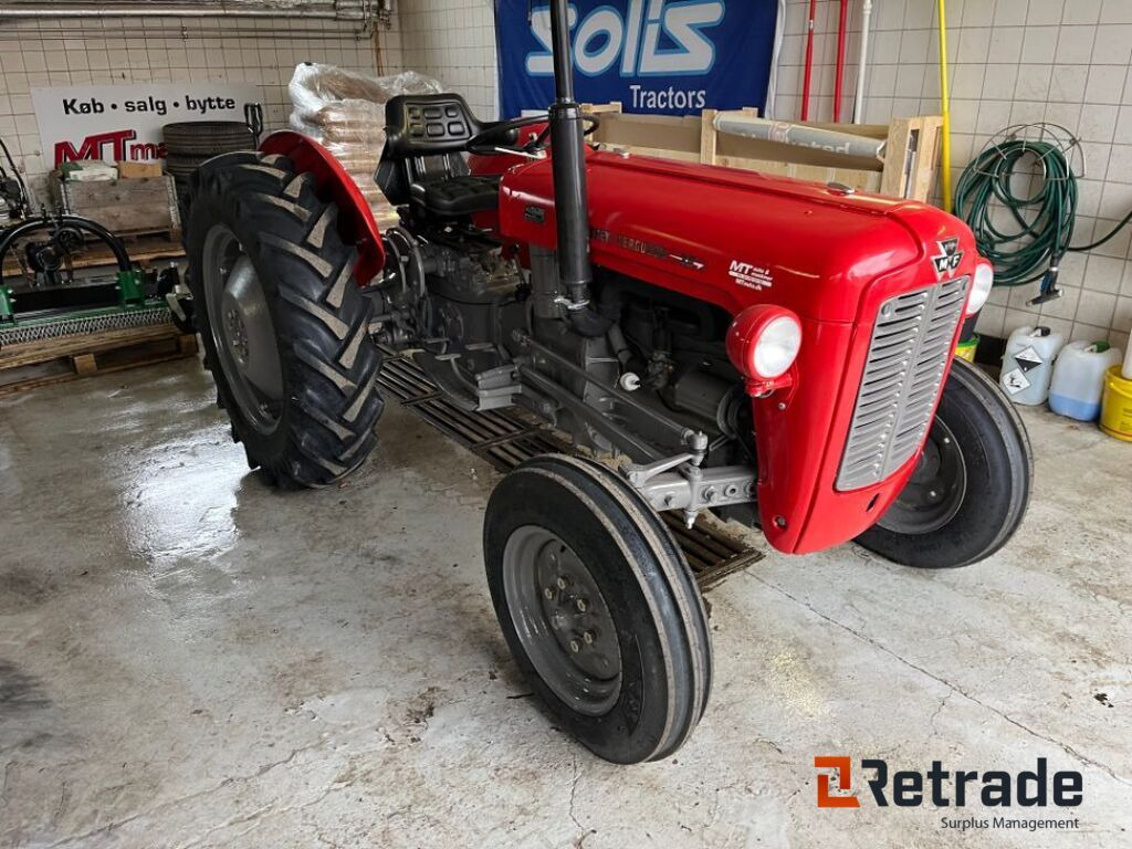 Oldtimer Massey Ferguson 35 / Oldtimer Massey Ferguson 35 - Farm tractor: picture 3 Oldtimer Massey Ferguson 35 / Oldtimer Massey Ferguson 35 - Farm tractor: picture 3