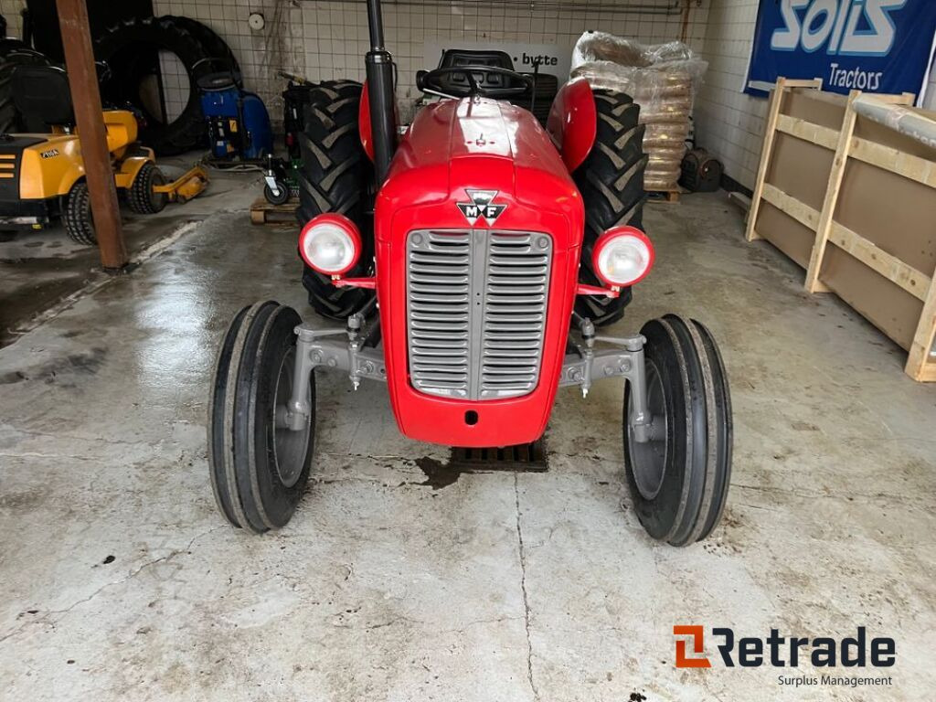 Oldtimer Massey Ferguson 35 / Oldtimer Massey Ferguson 35 - Farm tractor: picture 2 Oldtimer Massey Ferguson 35 / Oldtimer Massey Ferguson 35 - Farm tractor: picture 2