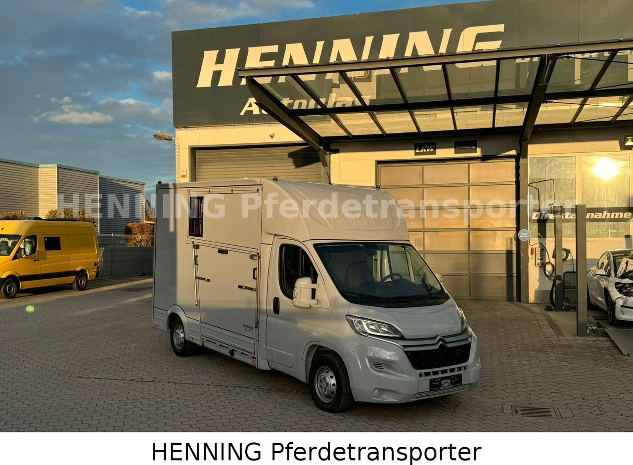 Citroën Jumper 3 - Sitzer - Livestock truck: picture 1 Citroën Jumper 3 - Sitzer - Livestock truck: picture 1