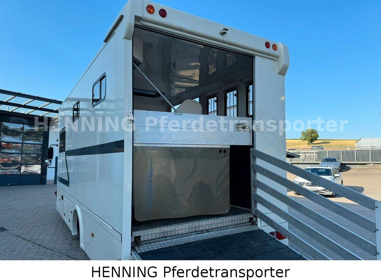 MAN TGL 8.180 4x2 PFERDETRANSPORTER - Horse truck: picture 5 MAN TGL 8.180 4x2 PFERDETRANSPORTER - Horse truck: picture 5