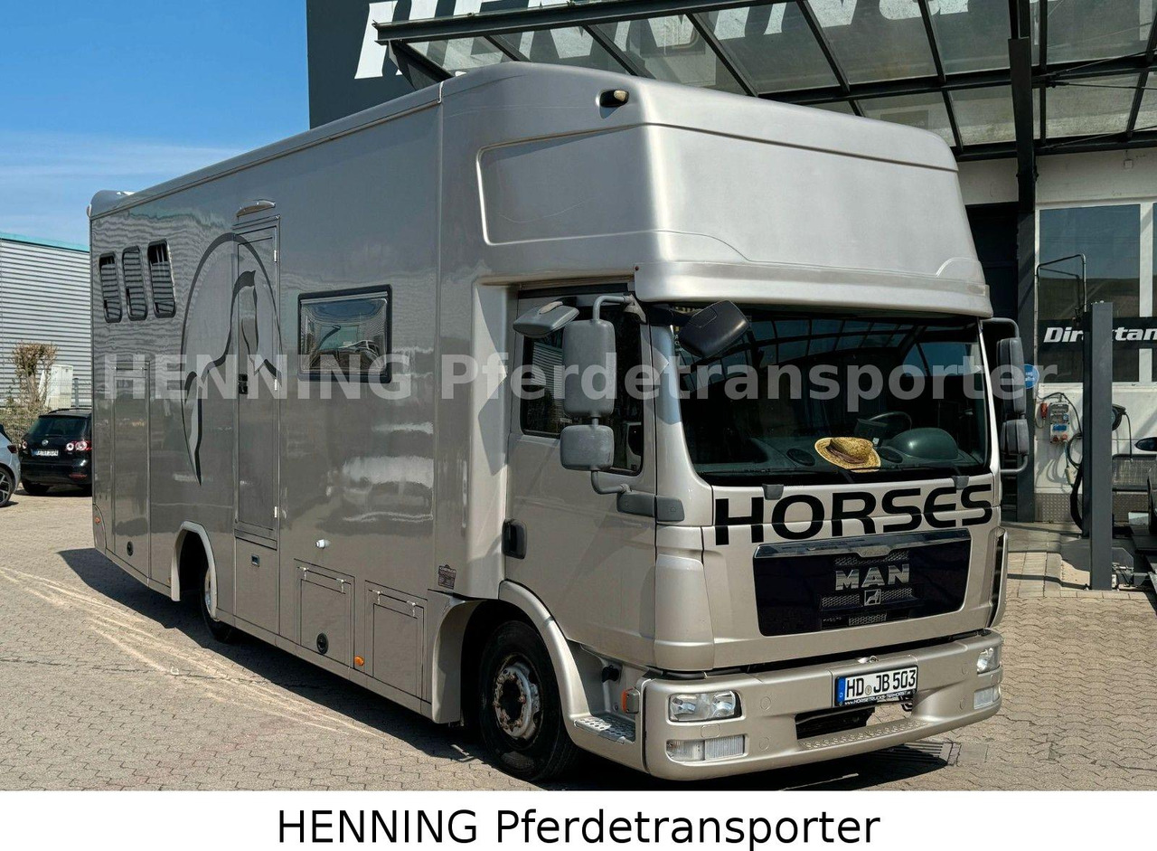 MAN TGL PFERDETRANSPORTER RJH - Horse truck: picture 3 MAN TGL PFERDETRANSPORTER RJH - Horse truck: picture 3