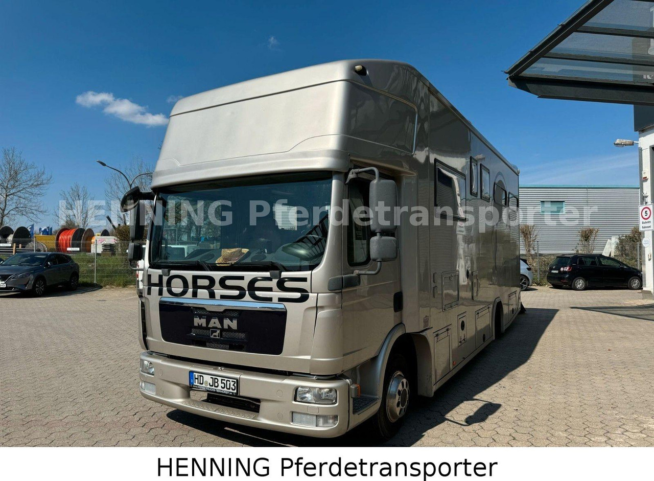 MAN TGL PFERDETRANSPORTER RJH - Horse truck: picture 2 MAN TGL PFERDETRANSPORTER RJH - Horse truck: picture 2