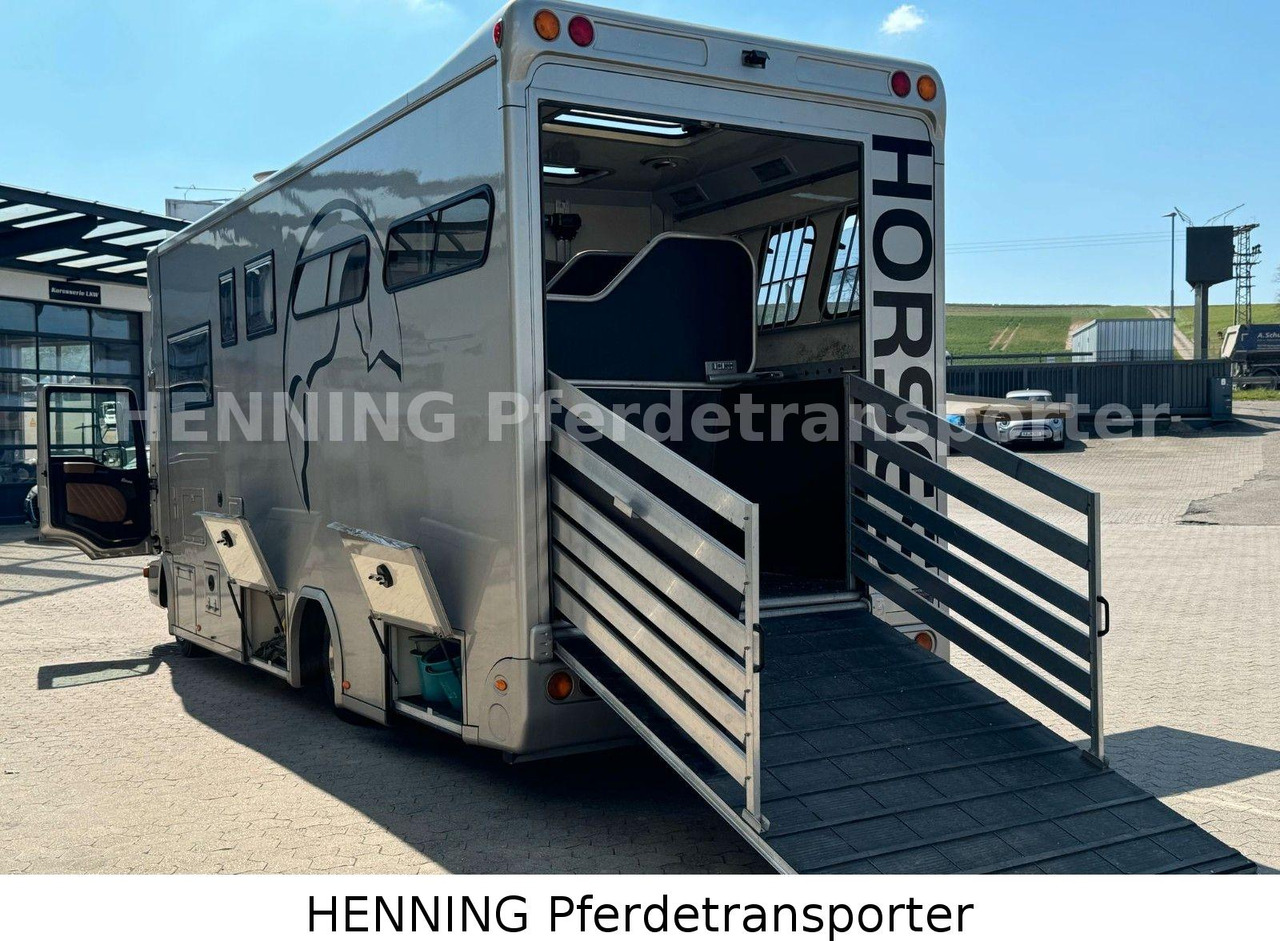MAN TGL PFERDETRANSPORTER RJH - Horse truck: picture 5 MAN TGL PFERDETRANSPORTER RJH - Horse truck: picture 5