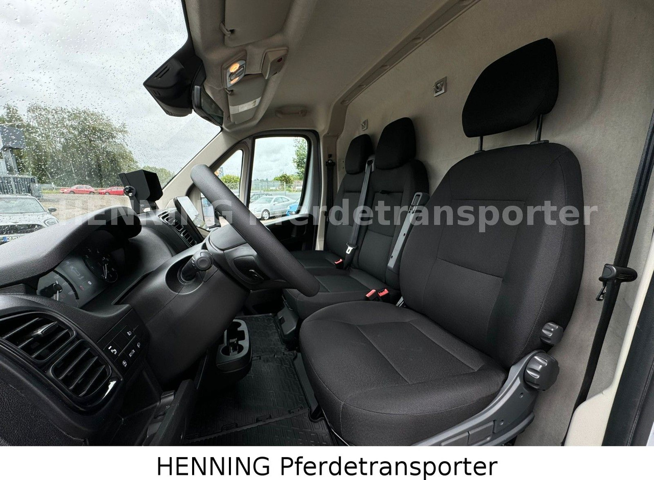 Livestock truck Peugeot Boxer 3 - Sitzer *GROSSE SATTELKAMMER*: picture 16