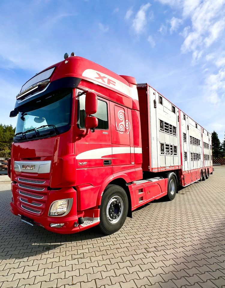 Pezzaioli NACZEPA 2017 / 3 POZIOMY / TRANSPORT ZWIERZĄT / HYDRAULIKA / STEROWANIE PILOTEM/ PODNOSZONY DACH / - Livestock semi-trailer: picture 5 Pezzaioli NACZEPA 2017 / 3 POZIOMY / TRANSPORT ZWIERZĄT / HYDRAULIKA / STEROWANIE PILOTEM/ PODNOSZONY DACH / - Livestock semi-trailer: picture 5