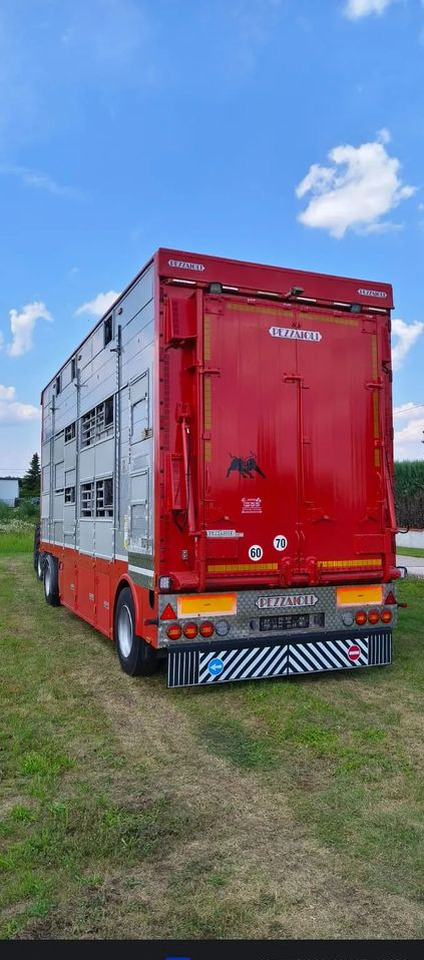 Pezzaioli RBA22 Dwuosiowa Przyczepa – 2x Bydło, 3x Trzoda – 2017r – Bezwypadkowa! - Livestock trailer: picture 4 Pezzaioli RBA22 Dwuosiowa Przyczepa – 2x Bydło, 3x Trzoda – 2017r – Bezwypadkowa! - Livestock trailer: picture 4