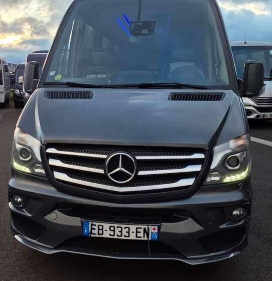 Mercedes-Benz SPRINTER 516 BLUETEC / SPROWADZONY / 86 000 KM - Minibus, Passenger van: picture 2 Mercedes-Benz SPRINTER 516 BLUETEC / SPROWADZONY / 86 000 KM - Minibus, Passenger van: picture 2