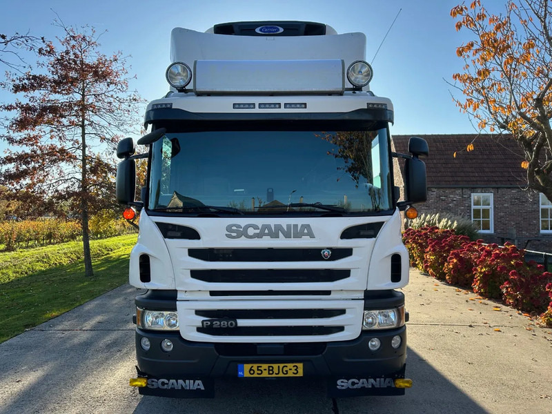 Scania P280 / NL TRUCK / EURO 6 / FULL AIR / CARRIER SUPRA 1250 / TOPCONDITION / LIFT+DOORS - Refrigerator truck: picture 2 Scania P280 / NL TRUCK / EURO 6 / FULL AIR / CARRIER SUPRA 1250 / TOPCONDITION / LIFT+DOORS - Refrigerator truck: picture 2