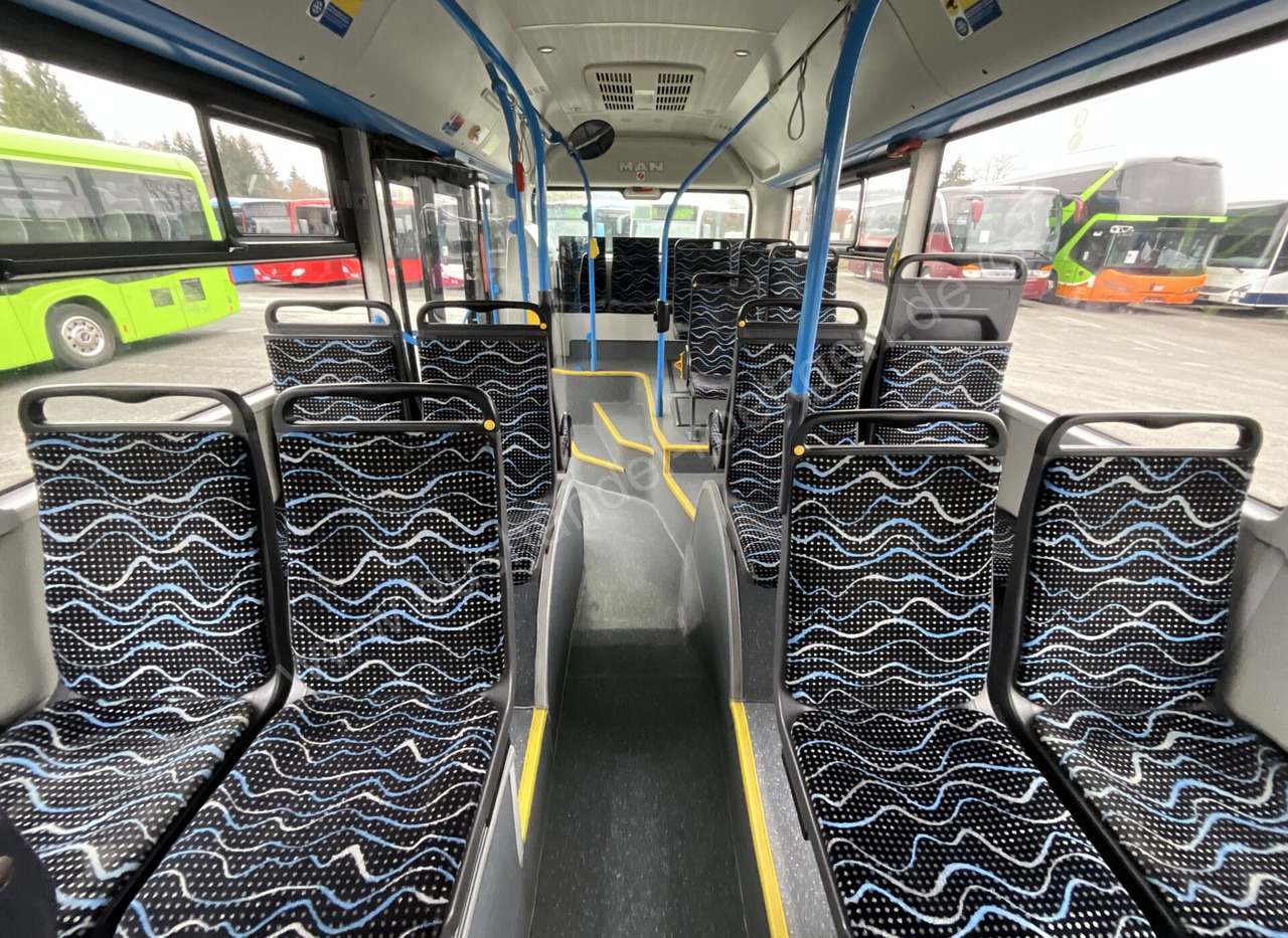 City bus MAN A 21 Lion´s City: picture 13