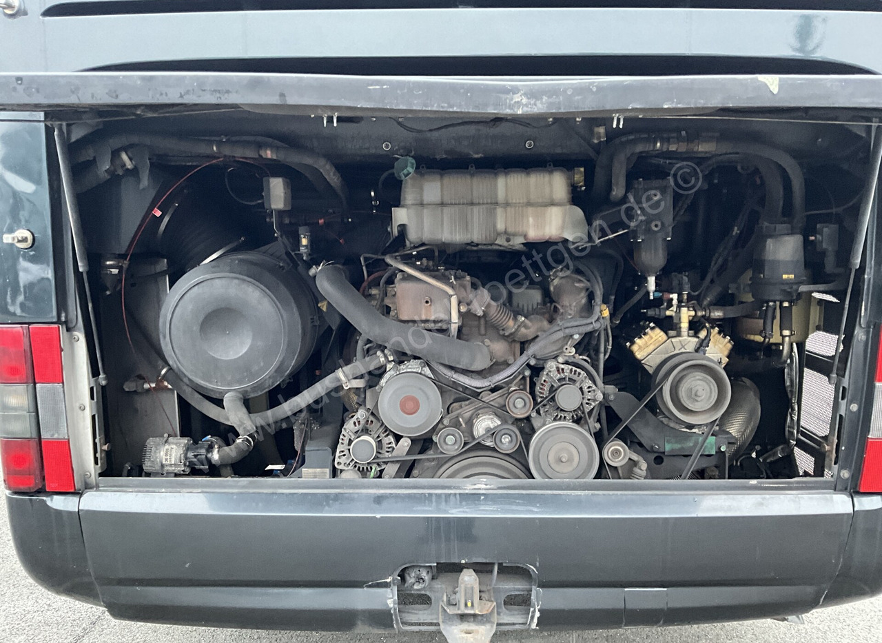 Coach MAN R09 Lion´s Coach: picture 10