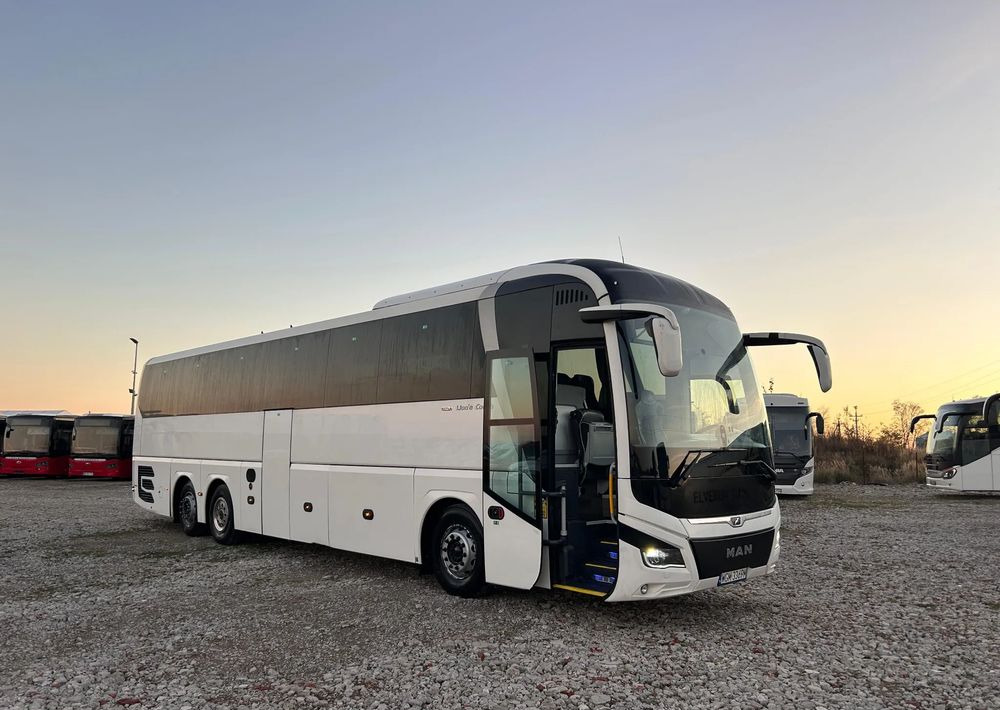 MAN Lions Coach - Coach: picture 1 MAN Lions Coach - Coach: picture 1