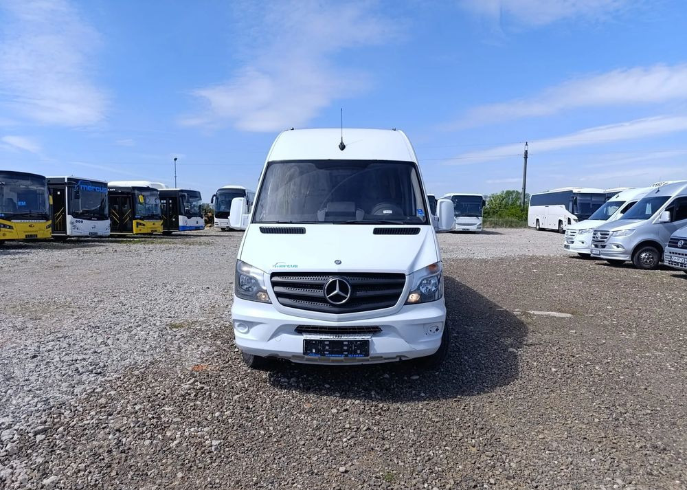 Minibus, Passenger van Mercedes-Benz Sprinter 519: picture 13