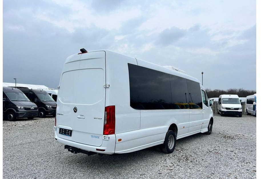 Minibus, Passenger van Mercedes-Benz Sprinter 519 V6: picture 6