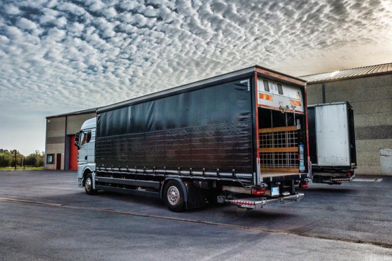 MAN TGX 18.400 XLX+HAYON - Curtainsider truck: picture 4 MAN TGX 18.400 XLX+HAYON - Curtainsider truck: picture 4