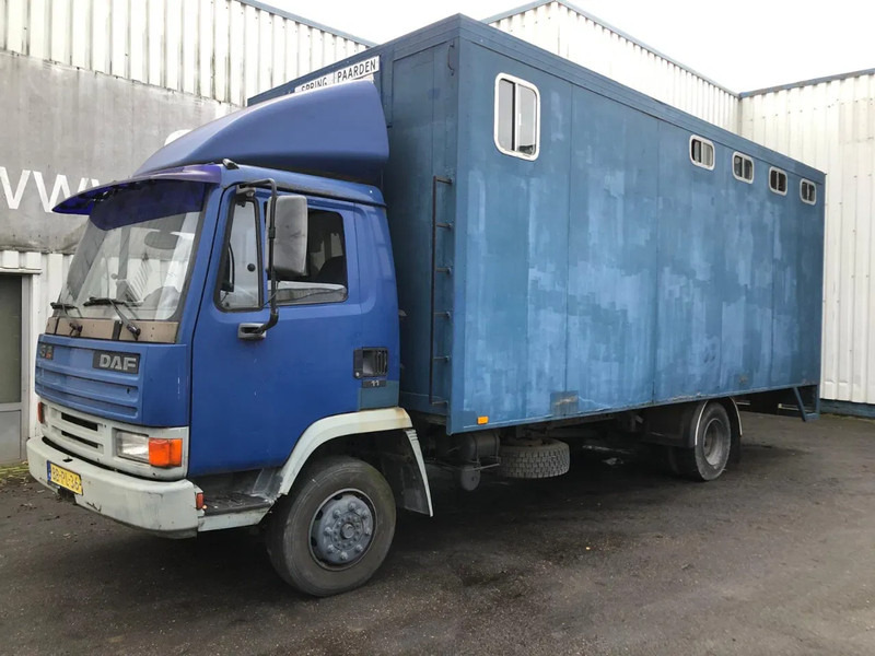 DAF 45 - 150 , Turbo , Horse truck , Spring Suspension - Box truck: picture 1 DAF 45 - 150 , Turbo , Horse truck , Spring Suspension - Box truck: picture 1