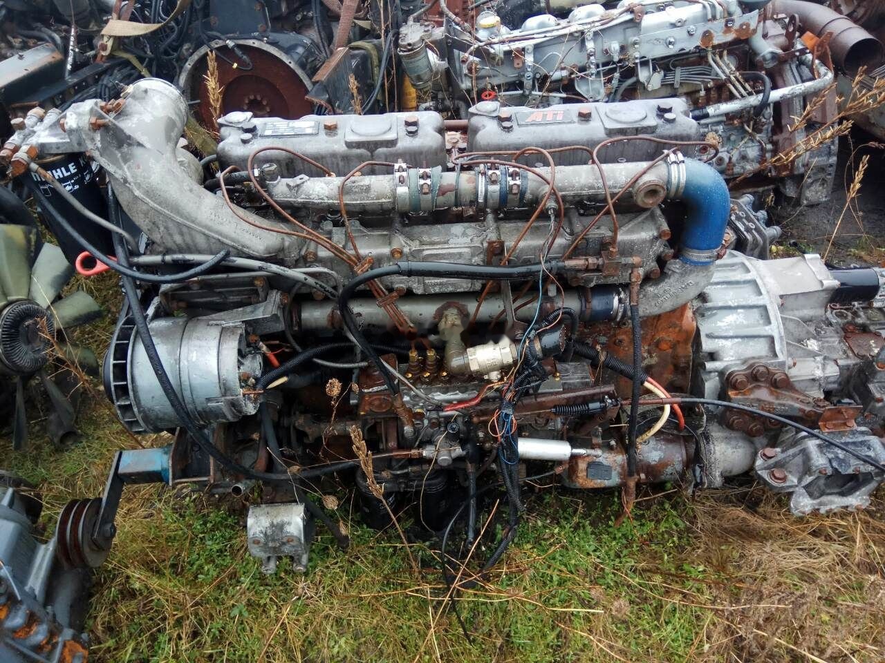 DAF ATI WS315M DAF 95 - Engine for Truck: picture 1 DAF ATI WS315M DAF 95 - Engine for Truck: picture 1