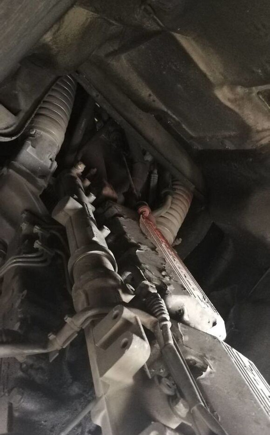 DAF XE 315C1 DAF XF 95 - Engine for Truck: picture 1 DAF XE 315C1 DAF XF 95 - Engine for Truck: picture 1