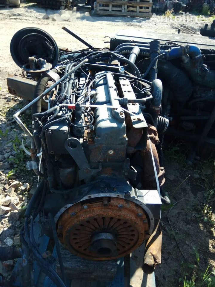 MAN D0826 LF17 MAN M 2000 M - Engine for Truck: picture 4 MAN D0826 LF17 MAN M 2000 M - Engine for Truck: picture 4