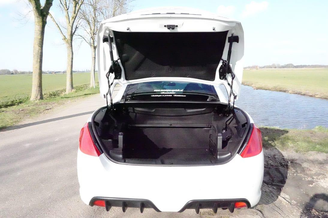 Car Peugeot 308 CC: picture 8