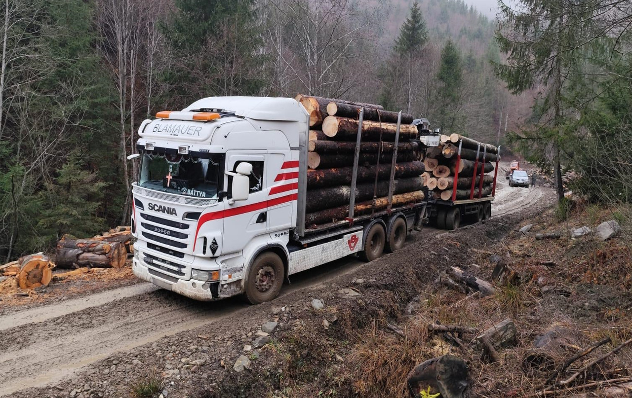 SCANIA R560 V8 - Logging truck, Crane truck: picture 2 SCANIA R560 V8 - Logging truck, Crane truck: picture 2