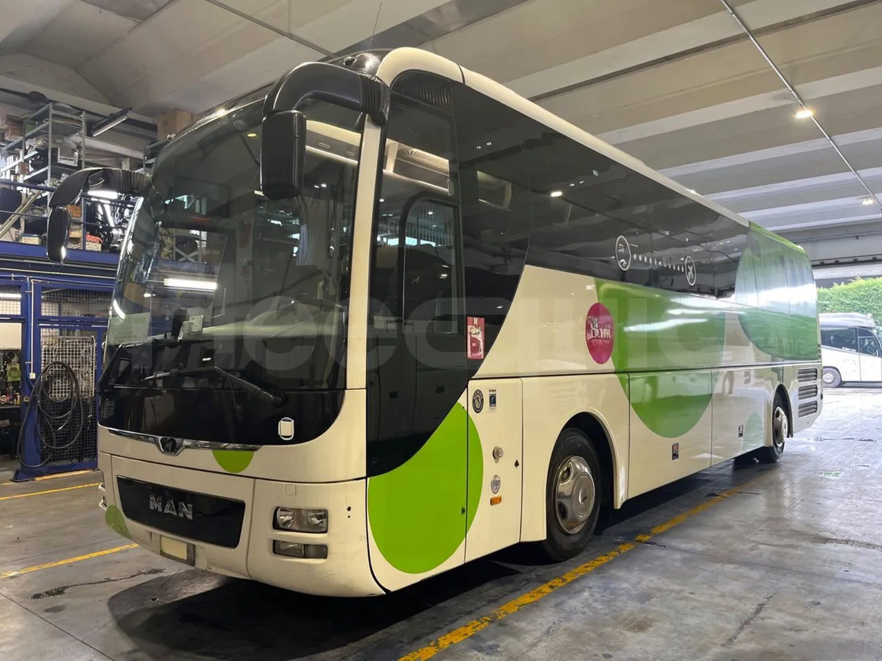 Man Lion's Coach - Coach: picture 4 Man Lion's Coach - Coach: picture 4