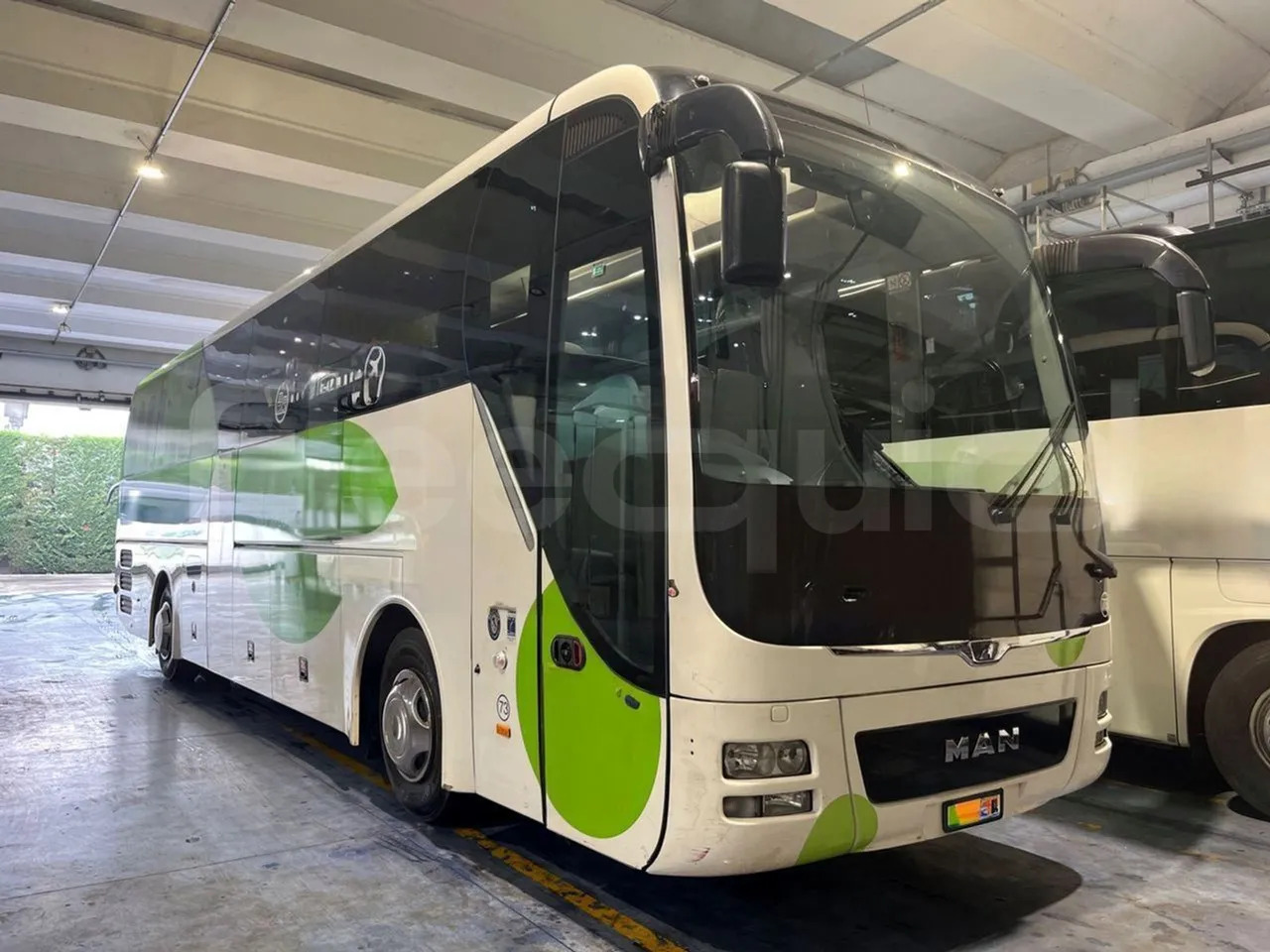 Man Lion's Coach - Coach: picture 1 Man Lion's Coach - Coach: picture 1