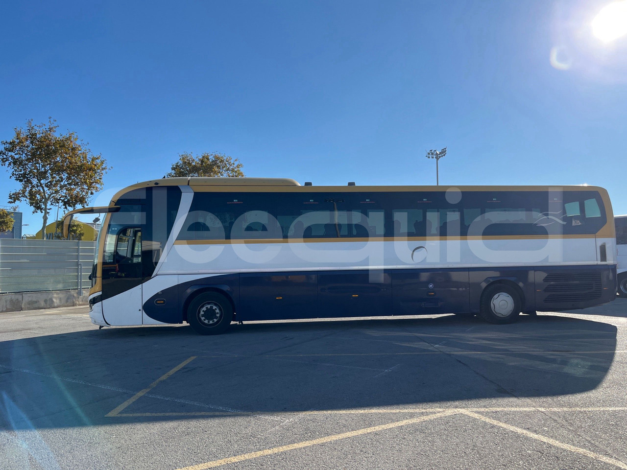 Man Lion's Coach - Coach: picture 5 Man Lion's Coach - Coach: picture 5