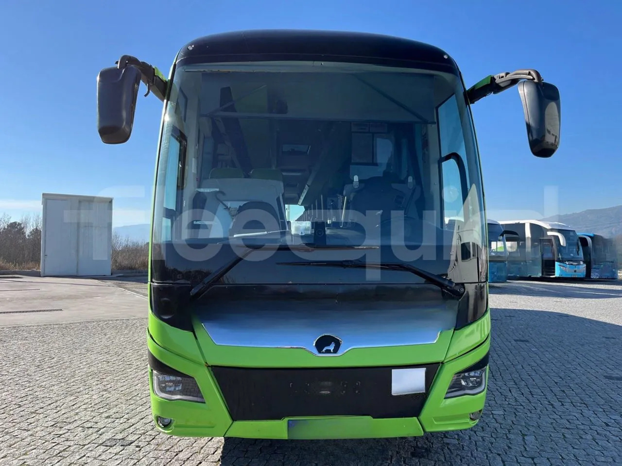 Man Lion's Coach - Coach: picture 2 Man Lion's Coach - Coach: picture 2