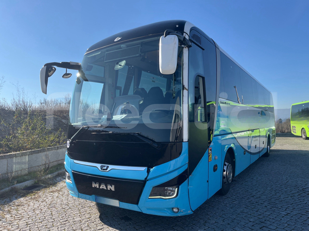 Man Lion's Coach - Coach: picture 4 Man Lion's Coach - Coach: picture 4