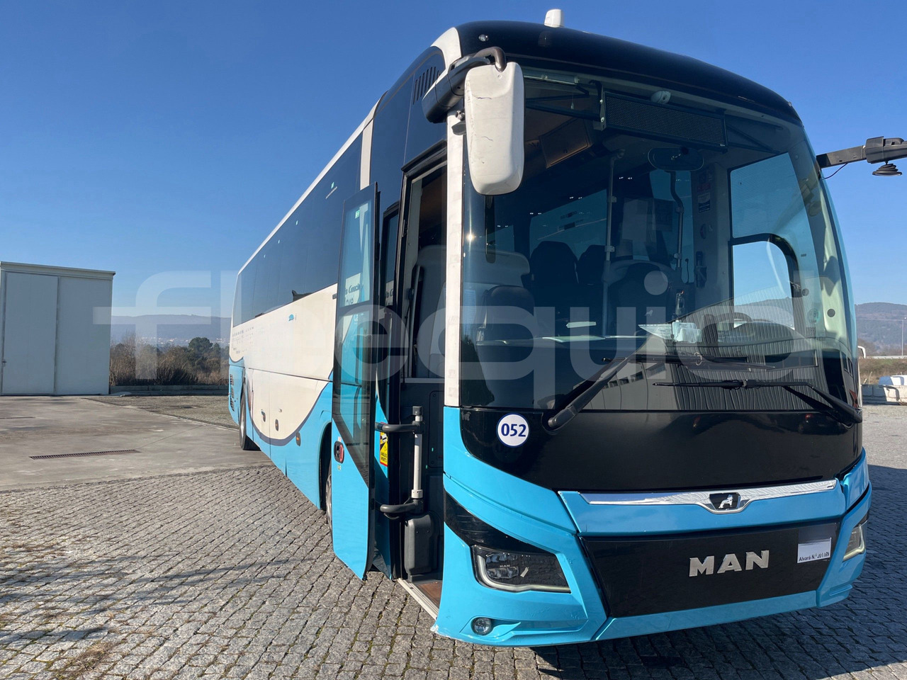 Man Lion's Coach - Coach: picture 1 Man Lion's Coach - Coach: picture 1