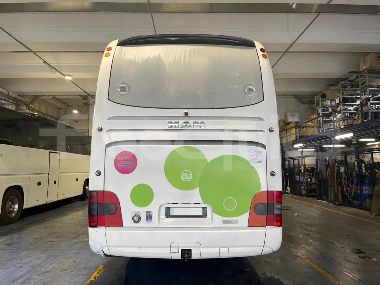 Man Lion's Coach - Coach: picture 5 Man Lion's Coach - Coach: picture 5