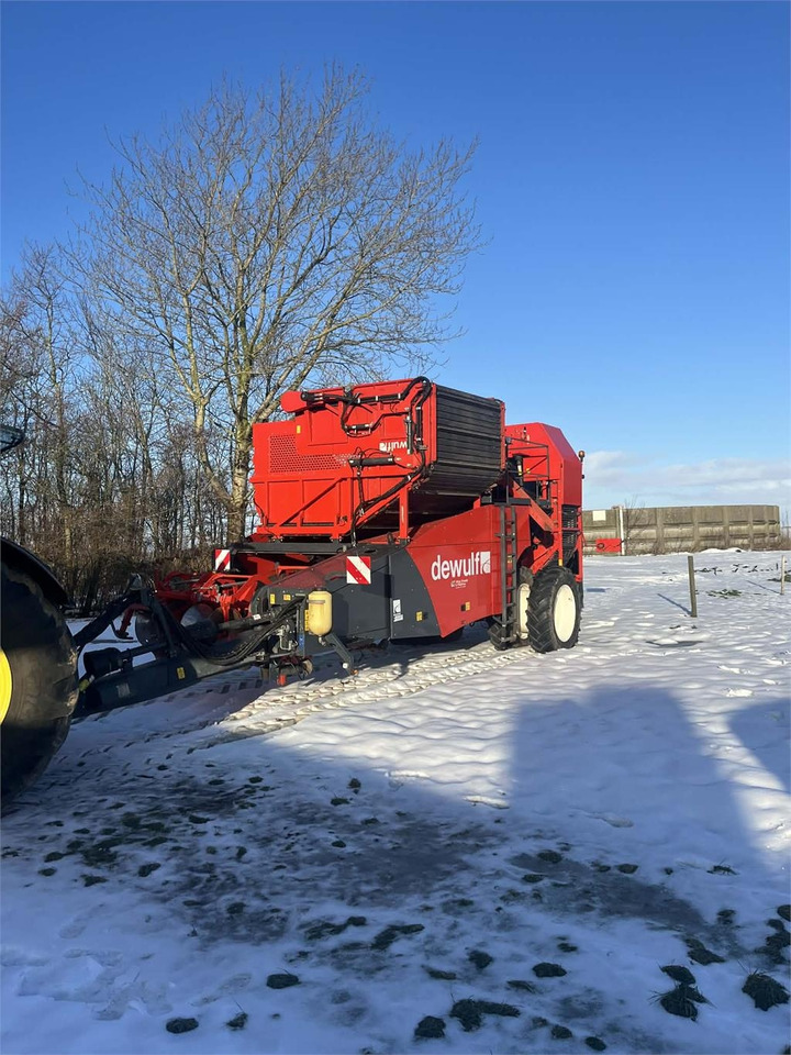 Dewulf RQA2060 HJULTRÆK - Potato harvester: picture 3 Dewulf RQA2060 HJULTRÆK - Potato harvester: picture 3