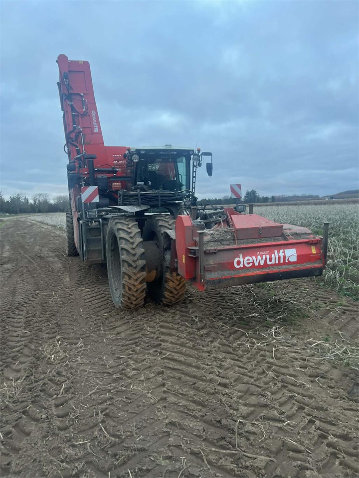 Dewulf RQA3060 - Potato harvester: picture 3 Dewulf RQA3060 - Potato harvester: picture 3