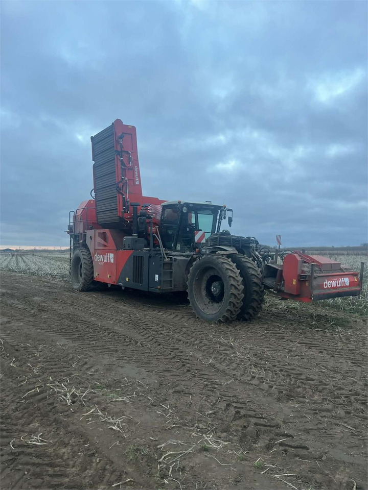 Dewulf RQA3060 - Potato harvester: picture 1 Dewulf RQA3060 - Potato harvester: picture 1