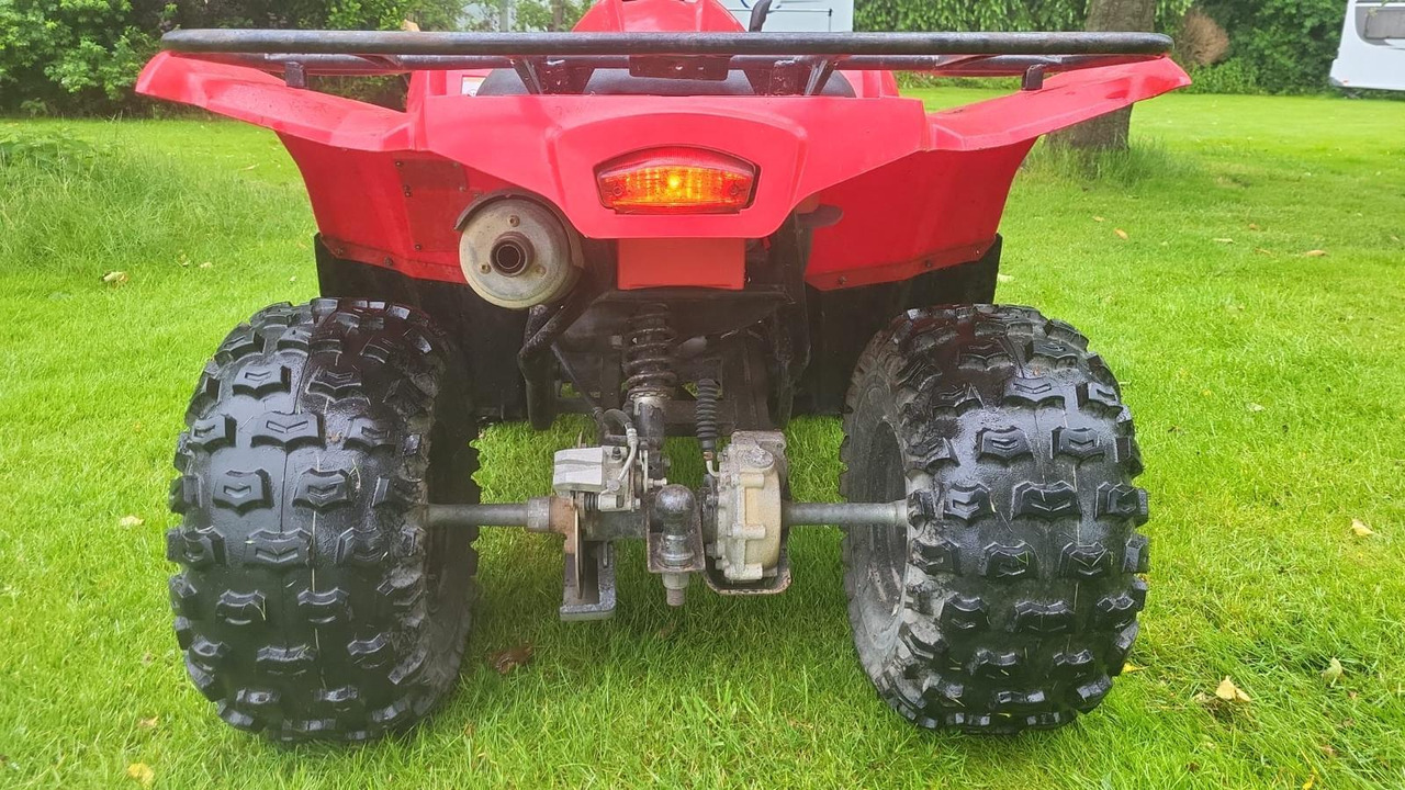 Yamaha Grizzly 300 - Side-by-side/ ATV: picture 5 Yamaha Grizzly 300 - Side-by-side/ ATV: picture 5