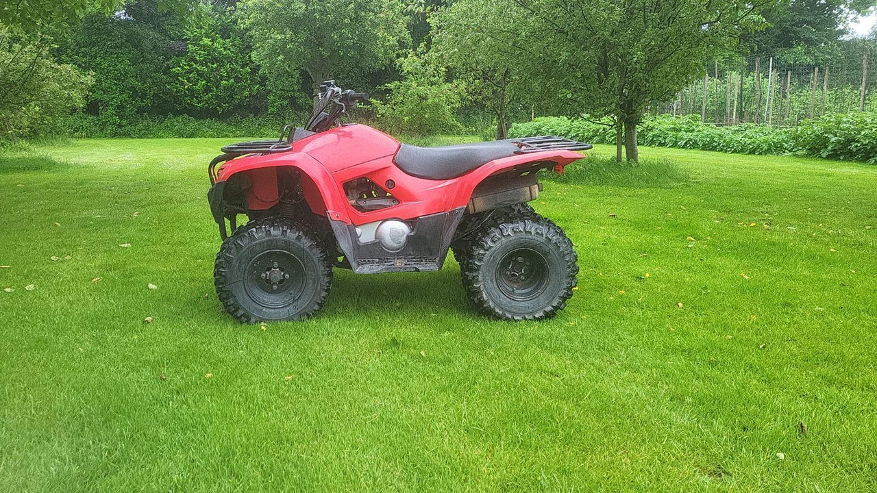 Yamaha Grizzly 300 - Side-by-side/ ATV: picture 2 Yamaha Grizzly 300 - Side-by-side/ ATV: picture 2