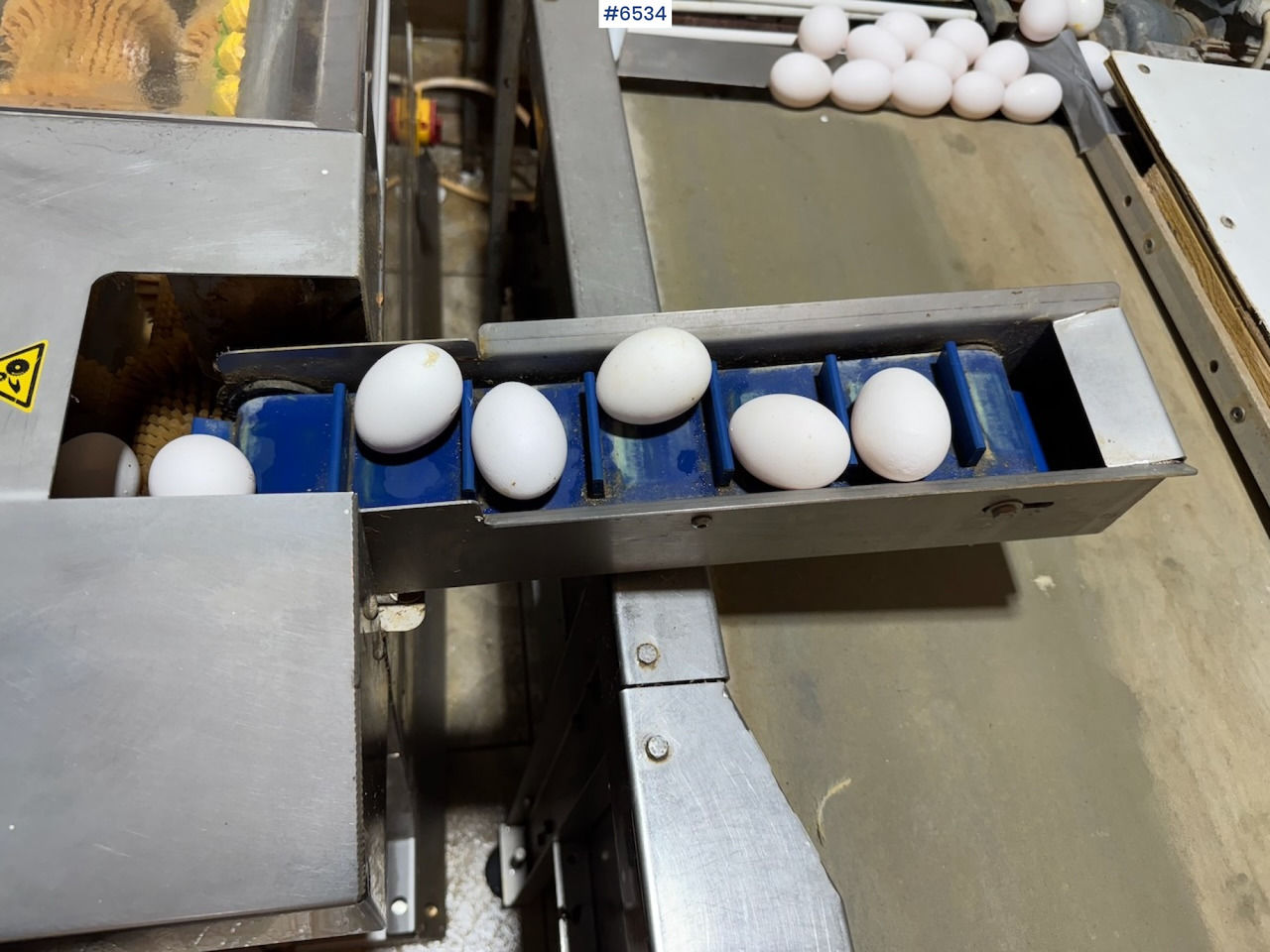 2021 Mach-C Offline S Egg Washer. - Livestock equipment: picture 3 2021 Mach-C Offline S Egg Washer. - Livestock equipment: picture 3