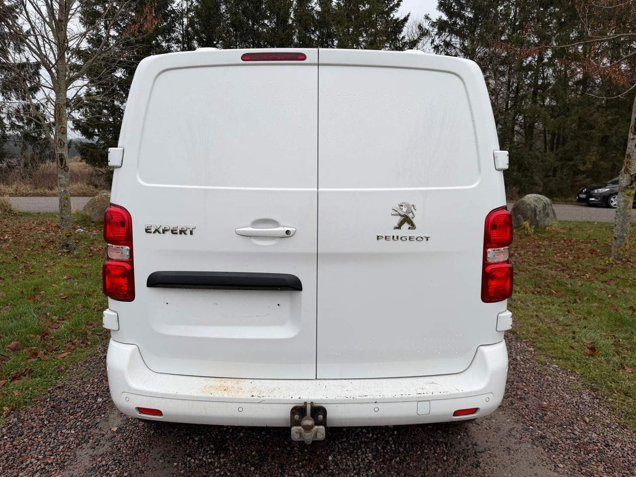 Peugeot Expert Kasten Premium L2 - Small van: picture 4 Peugeot Expert Kasten Premium L2 - Small van: picture 4