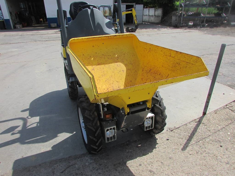 WACKER NEUSON 1001 Minidumper 17.500 netto Hochkippmulde - Dumper: picture 2 WACKER NEUSON 1001 Minidumper 17.500 netto Hochkippmulde - Dumper: picture 2