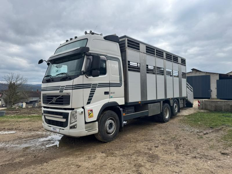 Volvo FH 540 - Livestock truck: picture 3 Volvo FH 540 - Livestock truck: picture 3