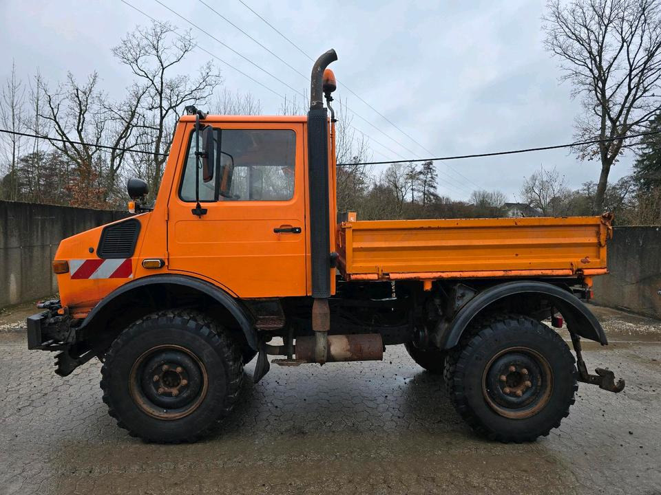 Unimog U1400 Agrar bj. 1995 424 427/10 Mercedes-Benz 1400 1600 1200 1000 - Tipper, Utility/ Special vehicle: picture 5 Unimog U1400 Agrar bj. 1995 424 427/10 Mercedes-Benz 1400 1600 1200 1000 - Tipper, Utility/ Special vehicle: picture 5